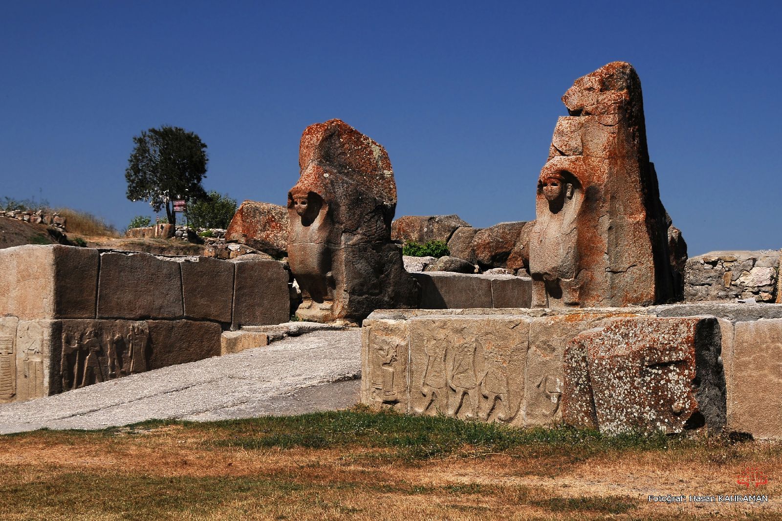 Alaca höyük