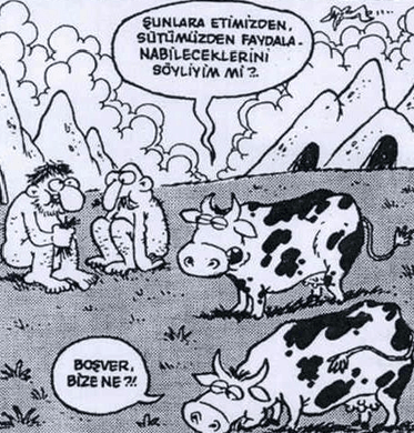 Fırsat