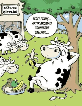 Terfi