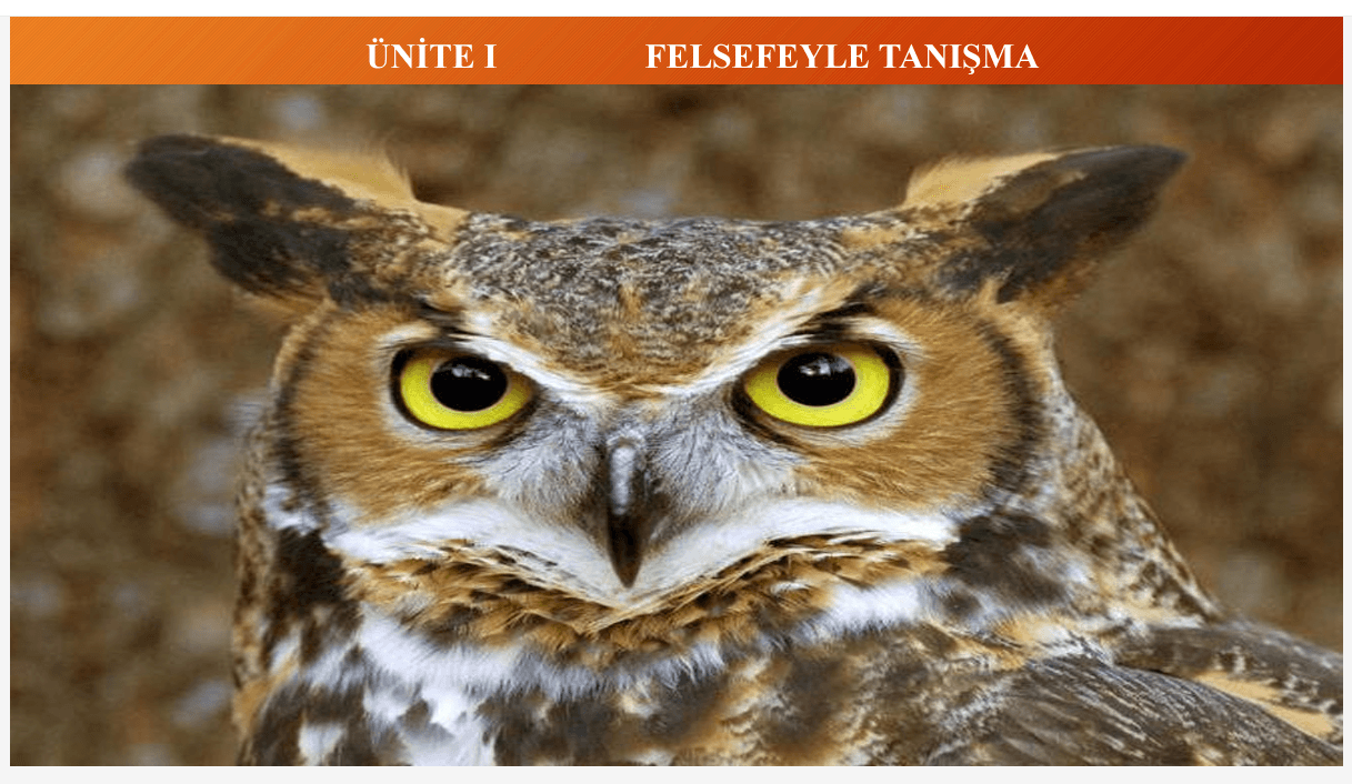 Felsefeyi Tanıma Sunu