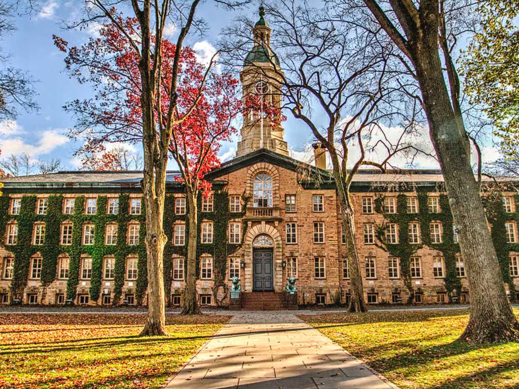 Princeton Üniversitesi