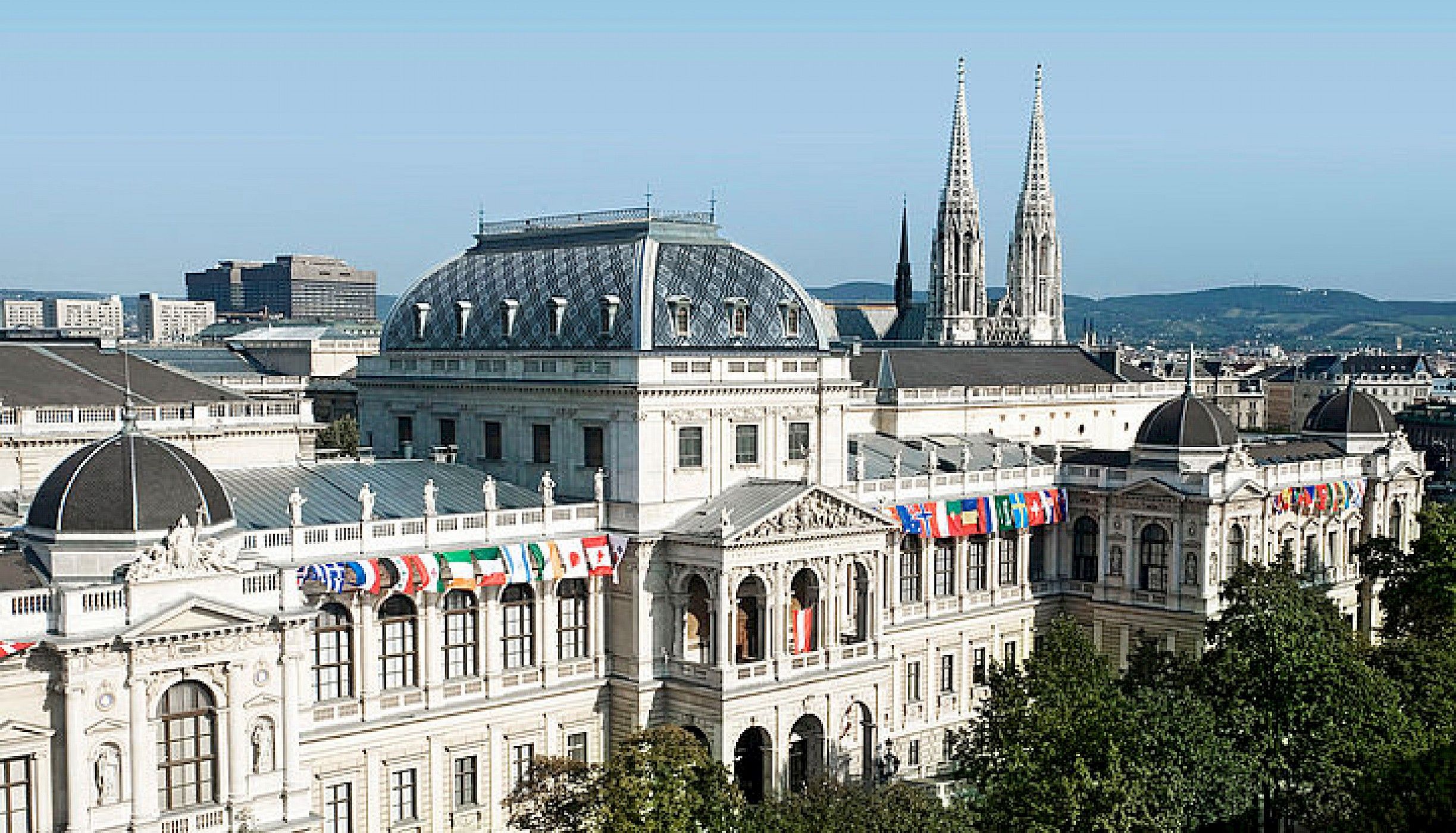 Viyana Üniversitesi